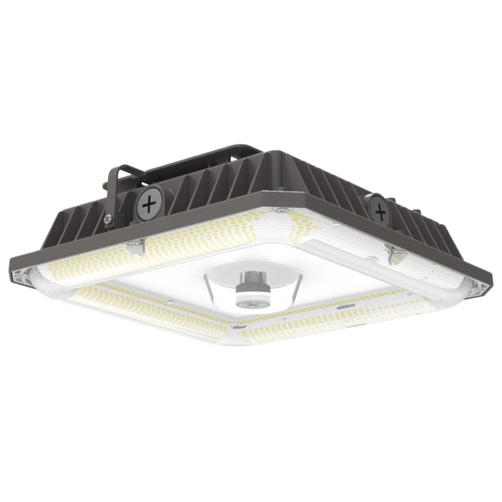 CP01 LED Garage / Canopy Light