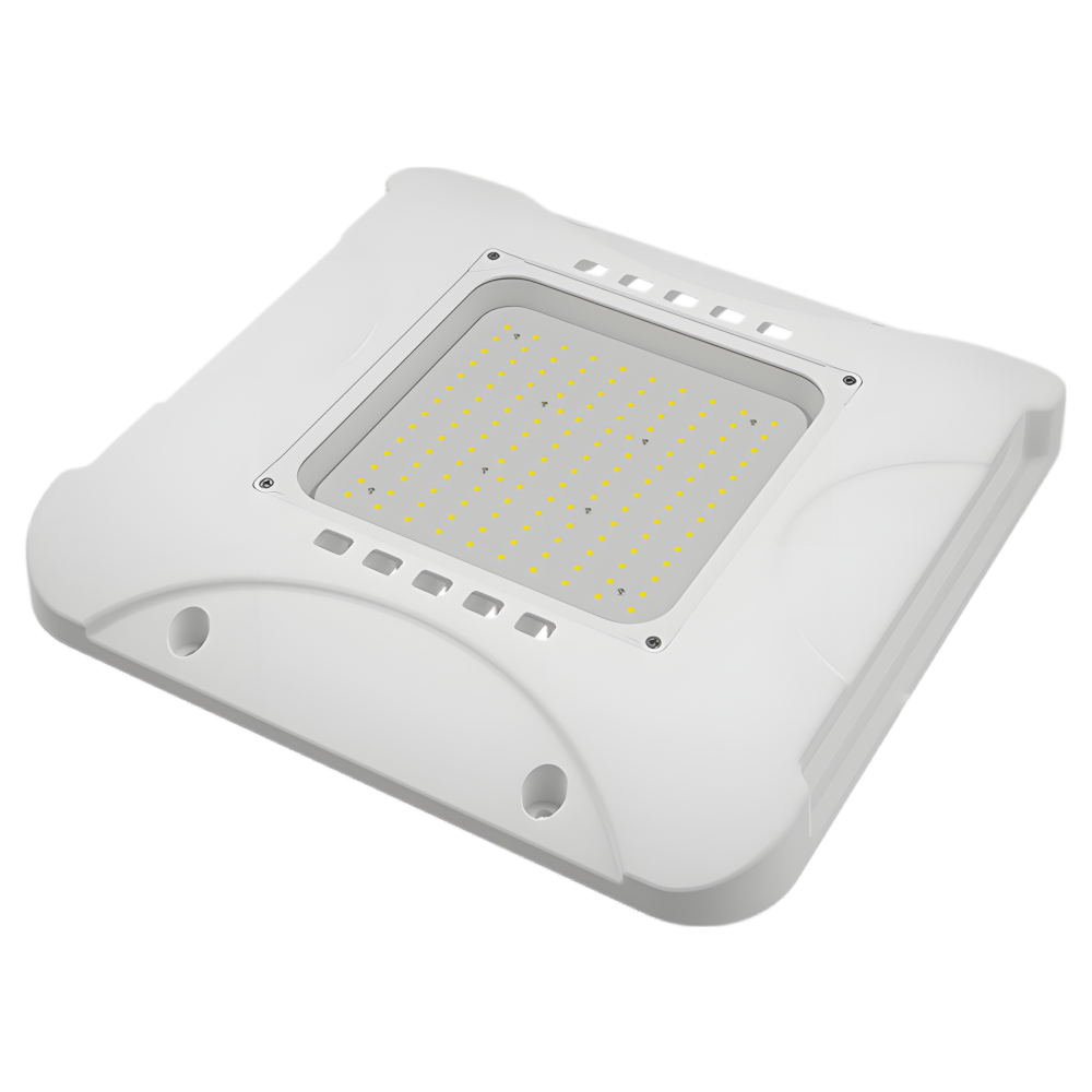 GS02 LED Gas Station Canopy Light